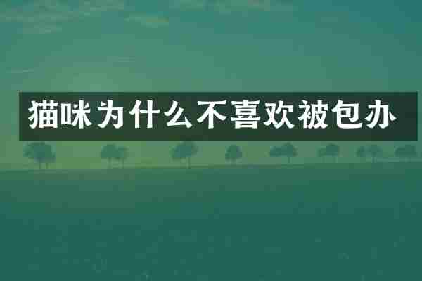 猫咪为什么不喜欢被包办