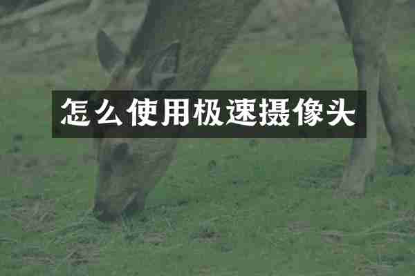 怎么使用极速摄像头