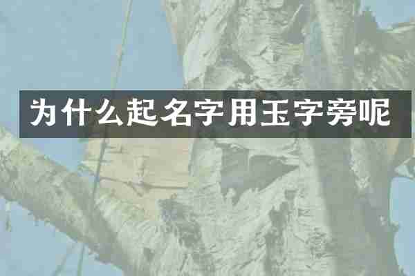 为什么起名字用玉字旁呢