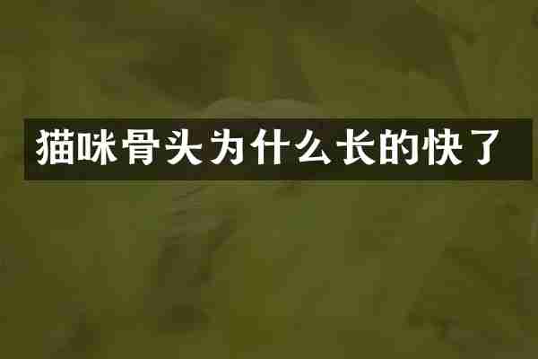 猫咪骨头为什么长的快了