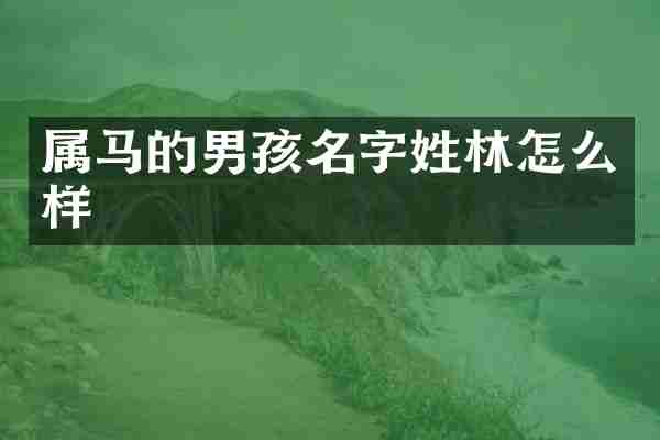 属马的男孩名字姓林怎么样