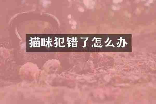 猫咪犯错了怎么办
