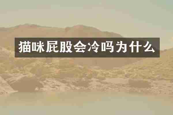 猫咪屁股会冷吗为什么