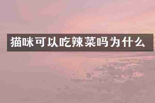 猫咪可以吃辣菜吗为什么