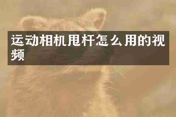 运动相机甩杆怎么用的视频