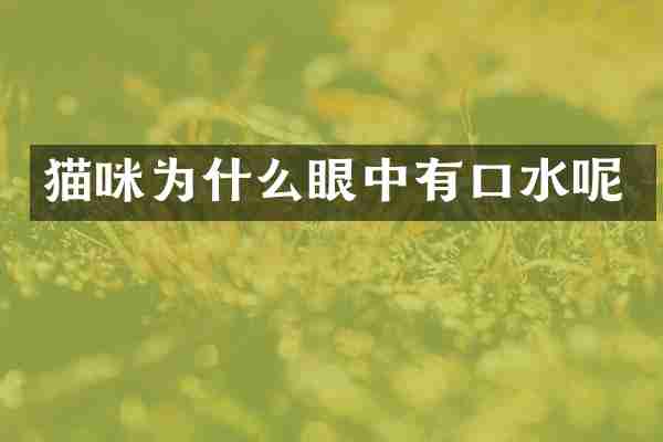 猫咪为什么眼中有口水呢