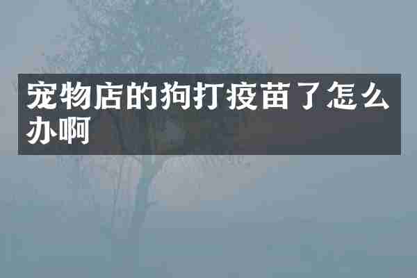宠物店的狗打疫苗了怎么办啊