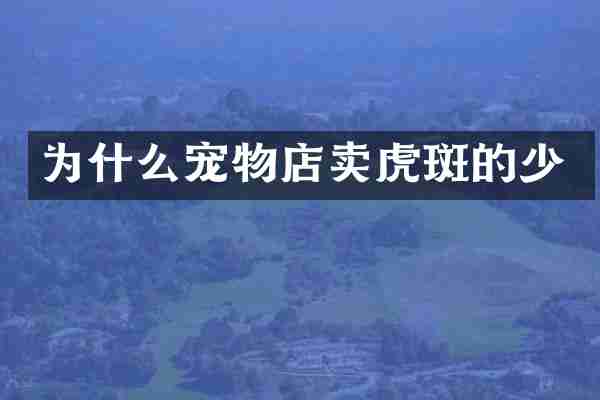 为什么宠物店卖虎斑的少