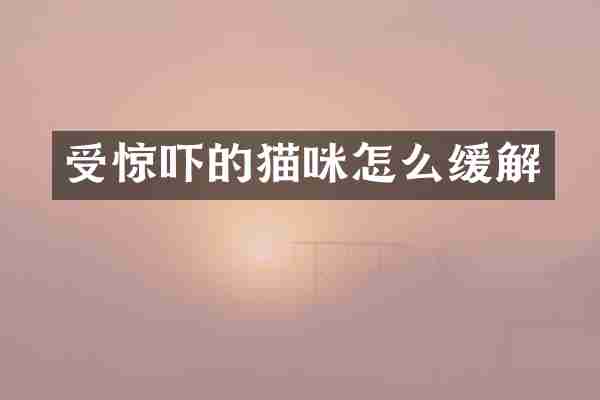 受惊吓的猫咪怎么缓解