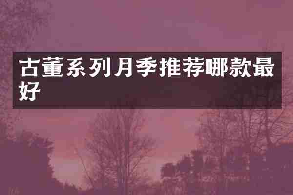 古董系列月季推荐哪款最好