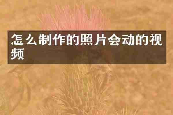 怎么制作的照片会动的视频