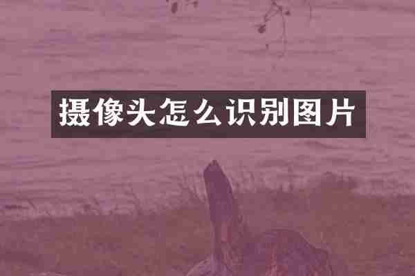 摄像头怎么识别图片