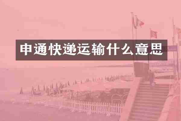 申通快递运输什么意思
