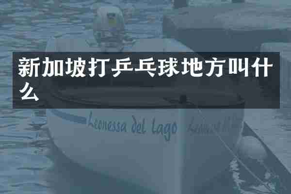 新加坡打乒乓球地方叫什么