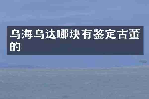 乌海乌达哪块有鉴定古董的