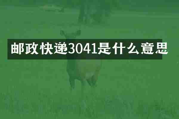 邮政快递3041是什么意思