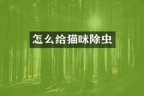 怎么给猫咪除虫