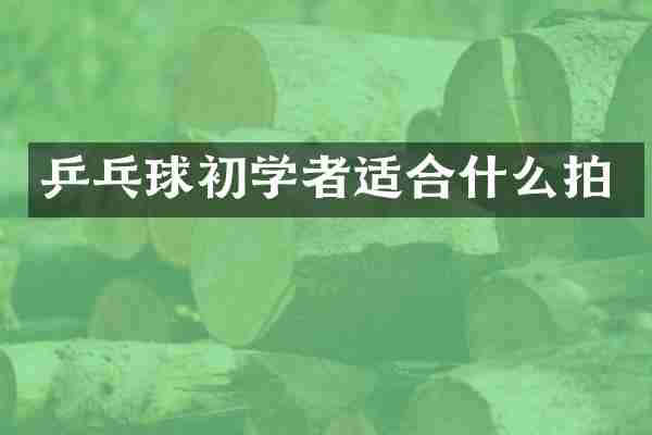 乒乓球初学者适合什么拍