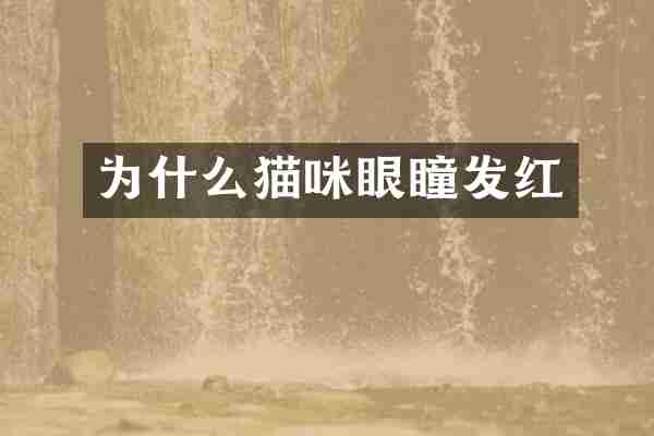 为什么猫咪眼瞳发红
