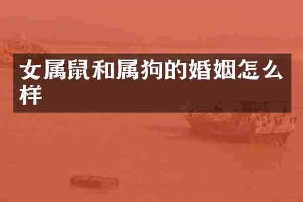 女属鼠和属狗的婚姻怎么样