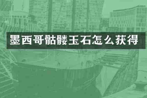 墨西哥骷髅玉石怎么获得