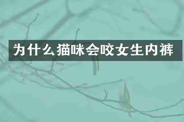 为什么猫咪会咬女生内裤