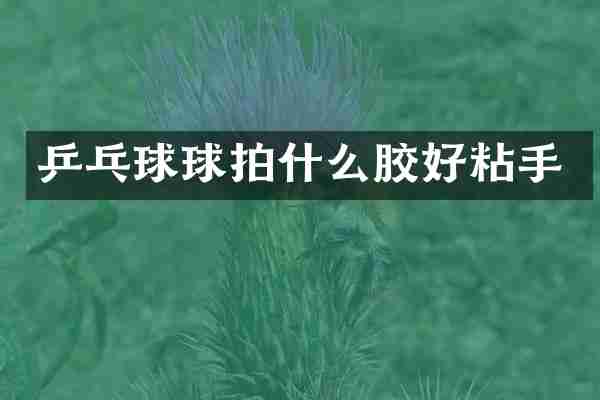 乒乓球球拍什么胶好粘手