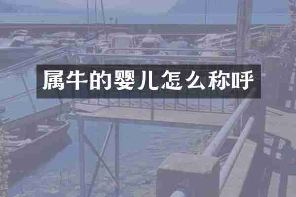 属牛的婴儿怎么称呼