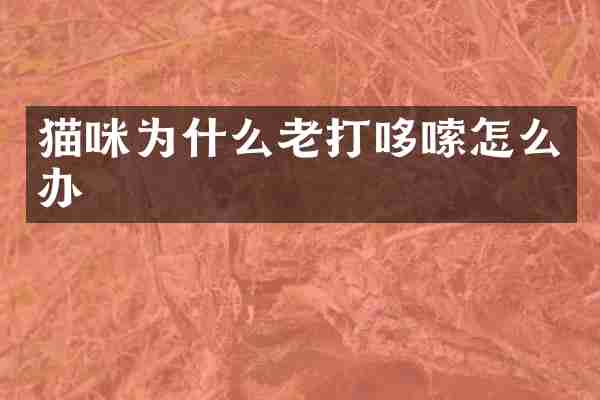 猫咪为什么老打哆嗦怎么办