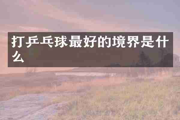 打乒乓球最好的境界是什么