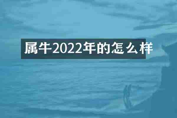 属牛2022年的怎么样