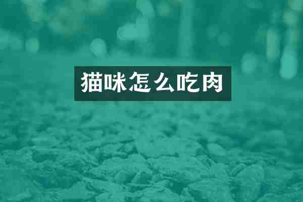猫咪怎么吃肉