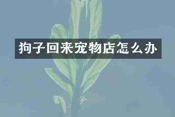 狗子回来宠物店怎么办