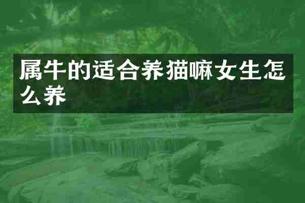 属牛的适合养猫嘛女生怎么养