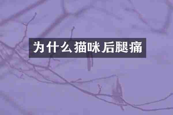 为什么猫咪后腿痛