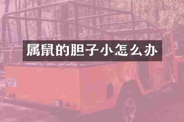属鼠的胆子小怎么办