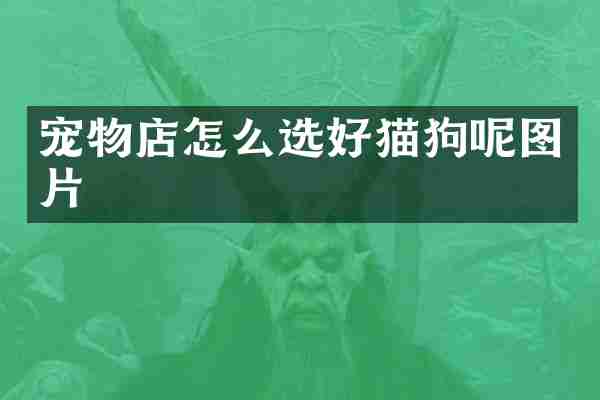 宠物店怎么选好猫狗呢图片