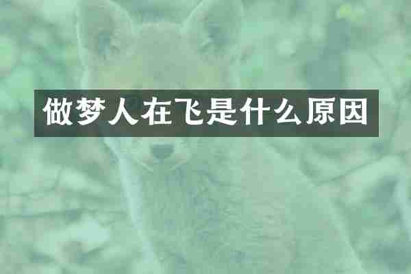 做梦人在飞是什么原因