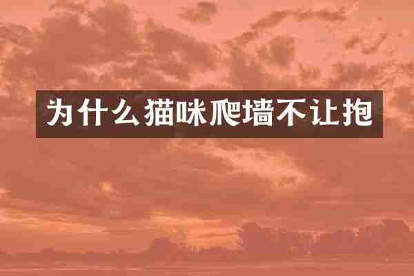 为什么猫咪爬墙不让抱