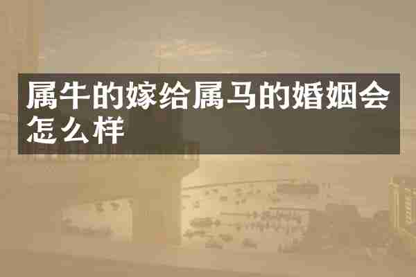 属牛的嫁给属马的婚姻会怎么样