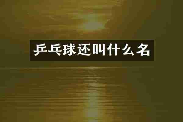乒乓球还叫什么名