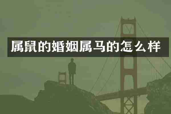 属鼠的婚姻属马的怎么样