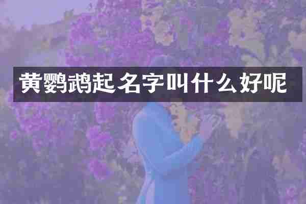 黄鹦鹉起名字叫什么好呢
