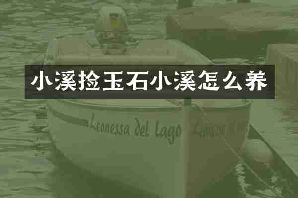 小溪捡玉石小溪怎么养