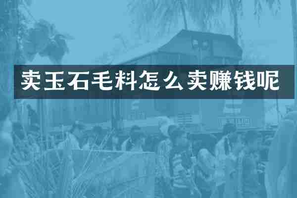 卖玉石毛料怎么卖赚钱呢