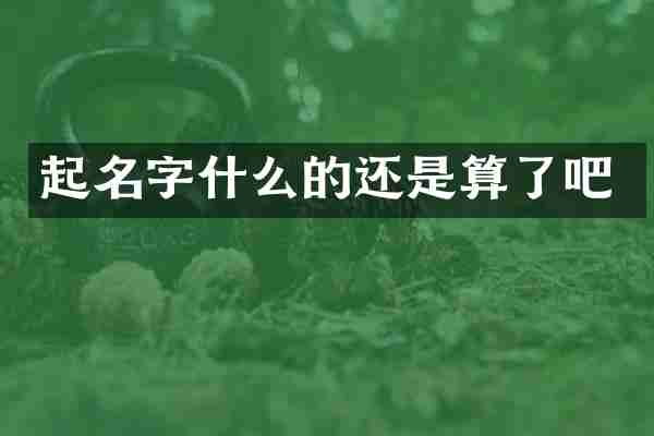 起名字什么的还是算了吧