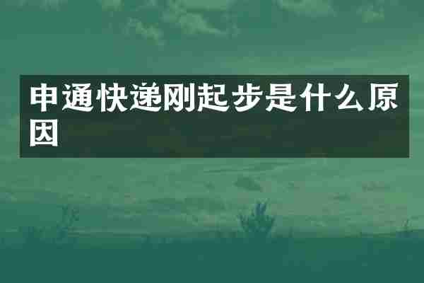 申通快递刚起步是什么原因