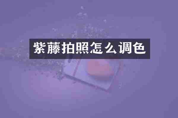紫藤拍照怎么调色