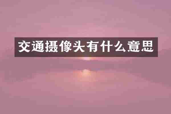 交通摄像头有什么意思