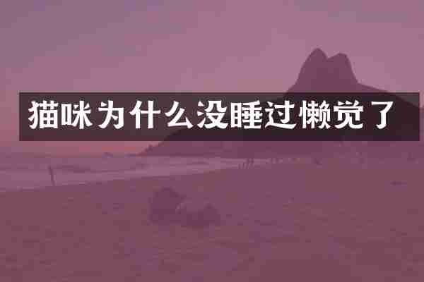 猫咪为什么没睡过懒觉了